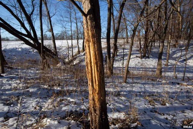 $770,000 | 9011 South Powell Road, Peoria, IL 61607