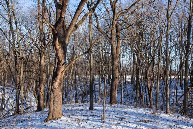 $770,000 | 9011 South Powell Road, Peoria, IL 61607