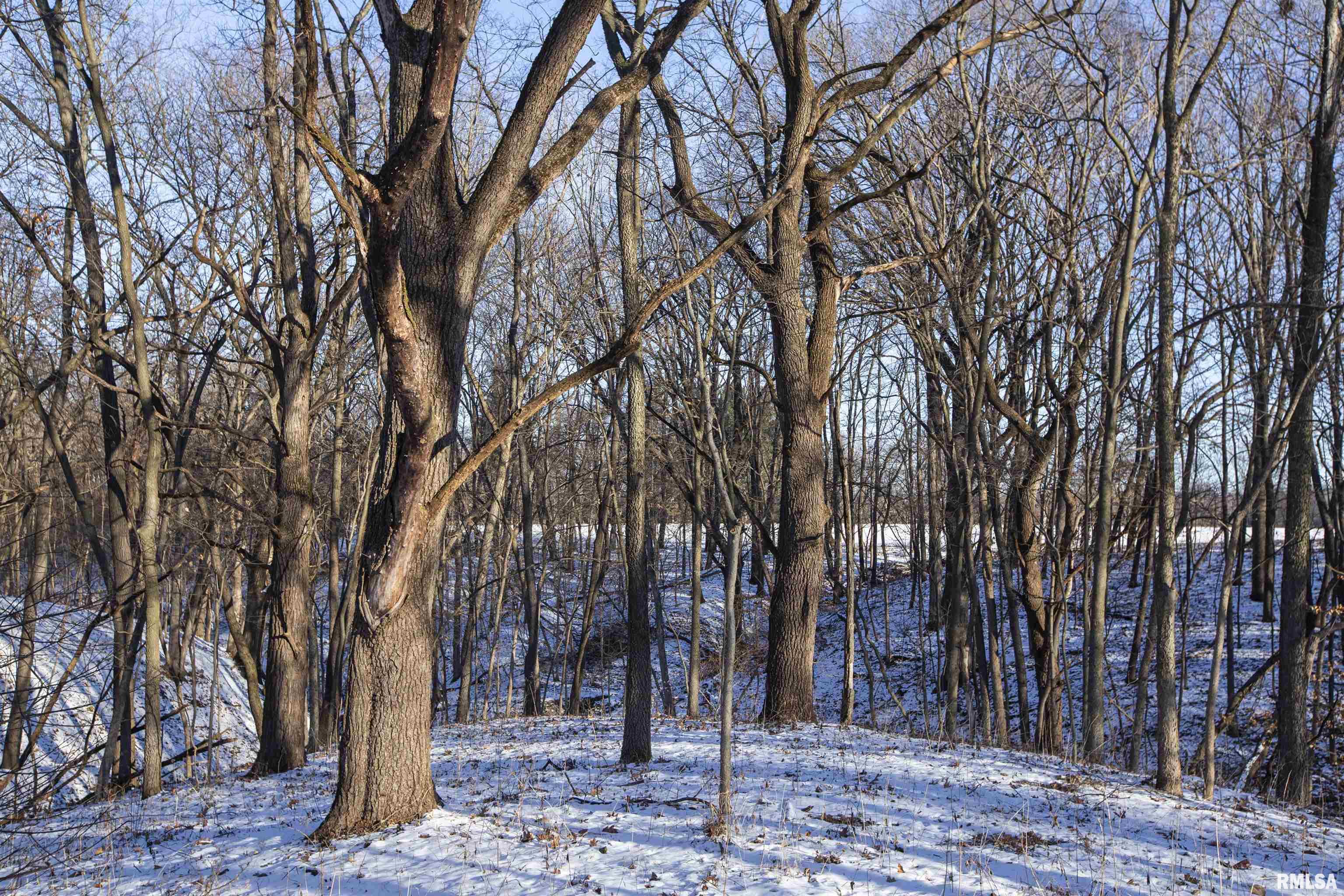 9011 South Powell Road Peoria, IL 61607 - Photo 23 of 34