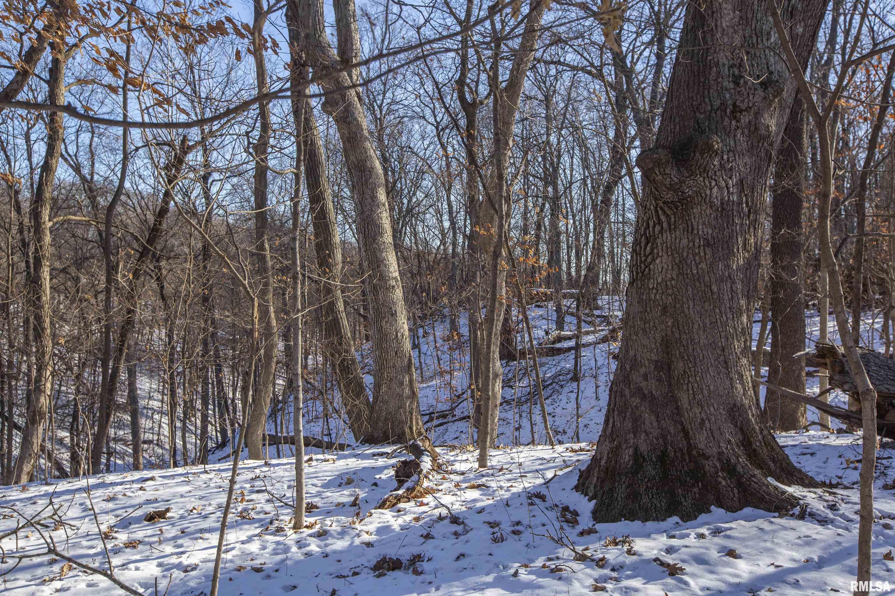 9011 South Powell Road Peoria, IL 61607 - Photo 24 of 34