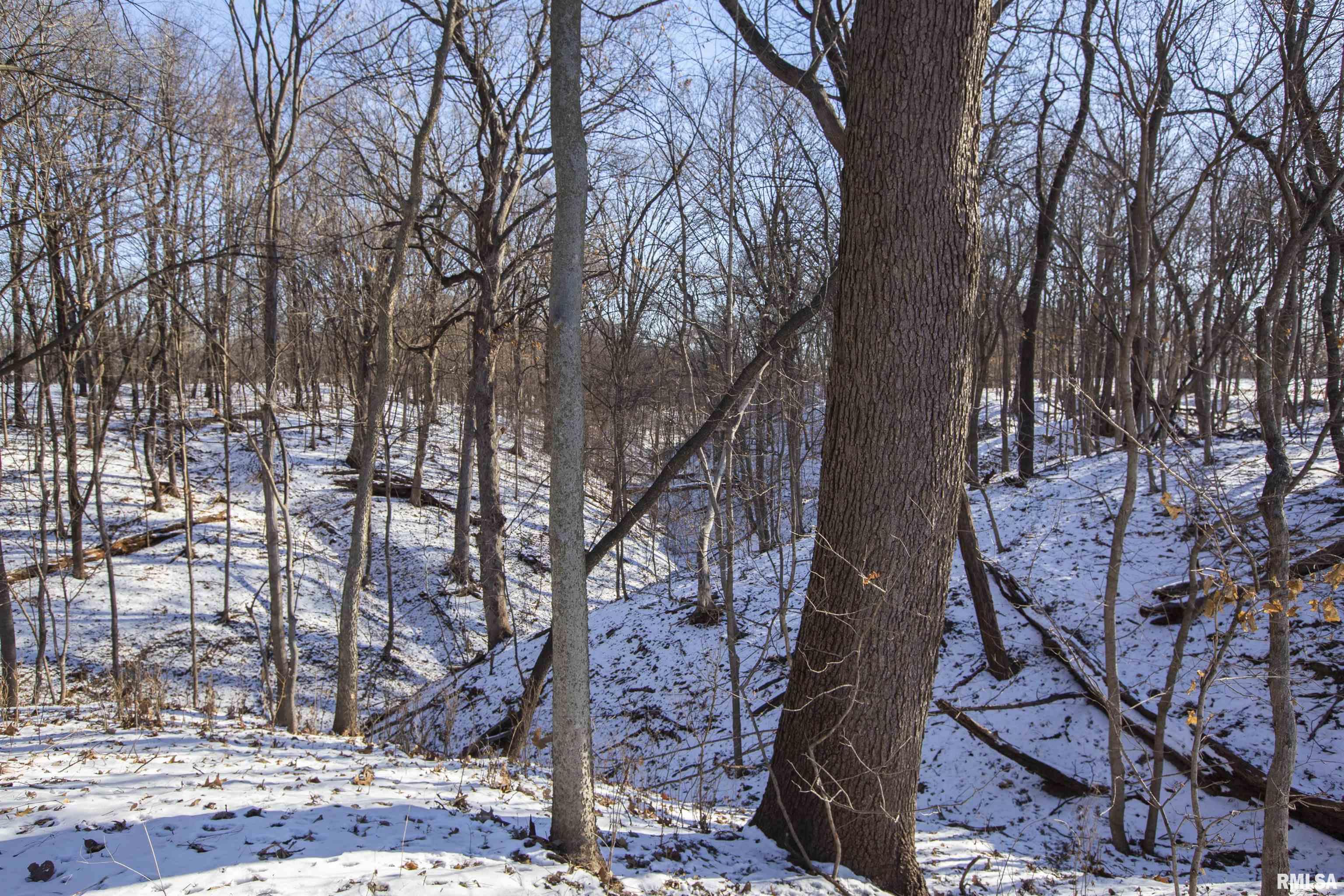 9011 South Powell Road Peoria, IL 61607 - Photo 25 of 34