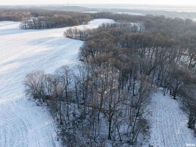 $770,000 | 9011 South Powell Road, Peoria, IL 61607