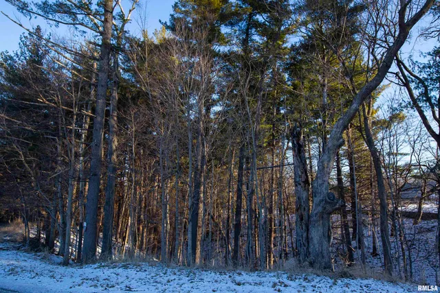 $770,000 | 9011 South Powell Road, Peoria, IL 61607