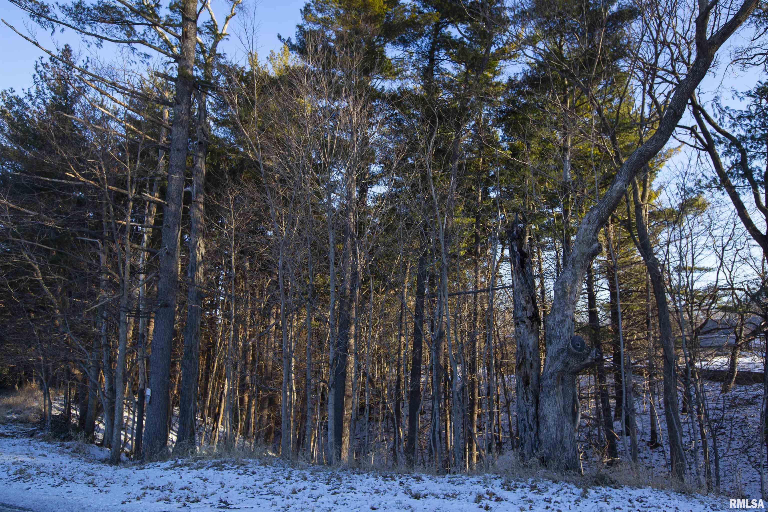 9011 South Powell Road Peoria, IL 61607 - Photo 32 of 34