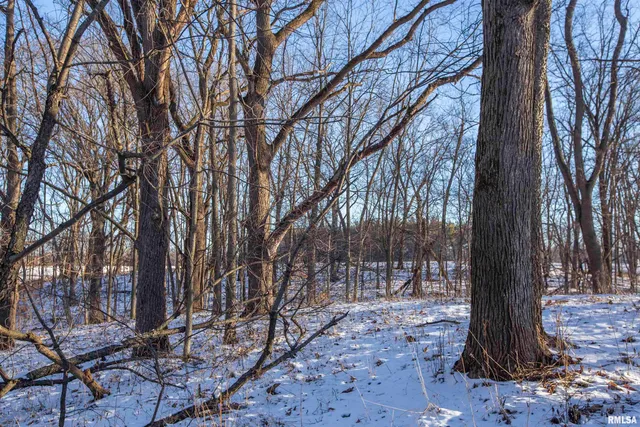 $770,000 | 9011 South Powell Road, Peoria, IL 61607