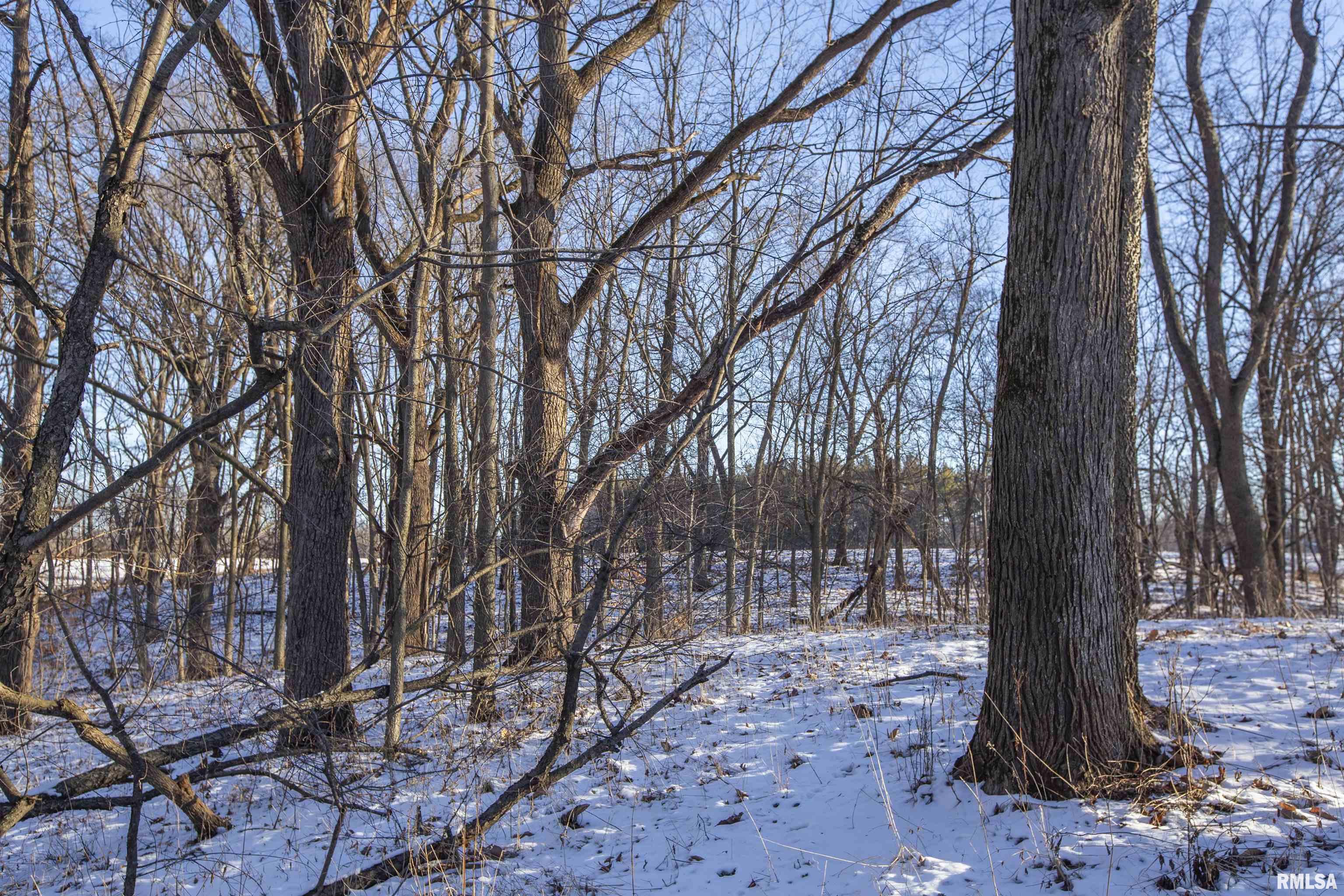 9011 South Powell Road Peoria, IL 61607 - Photo 33 of 34