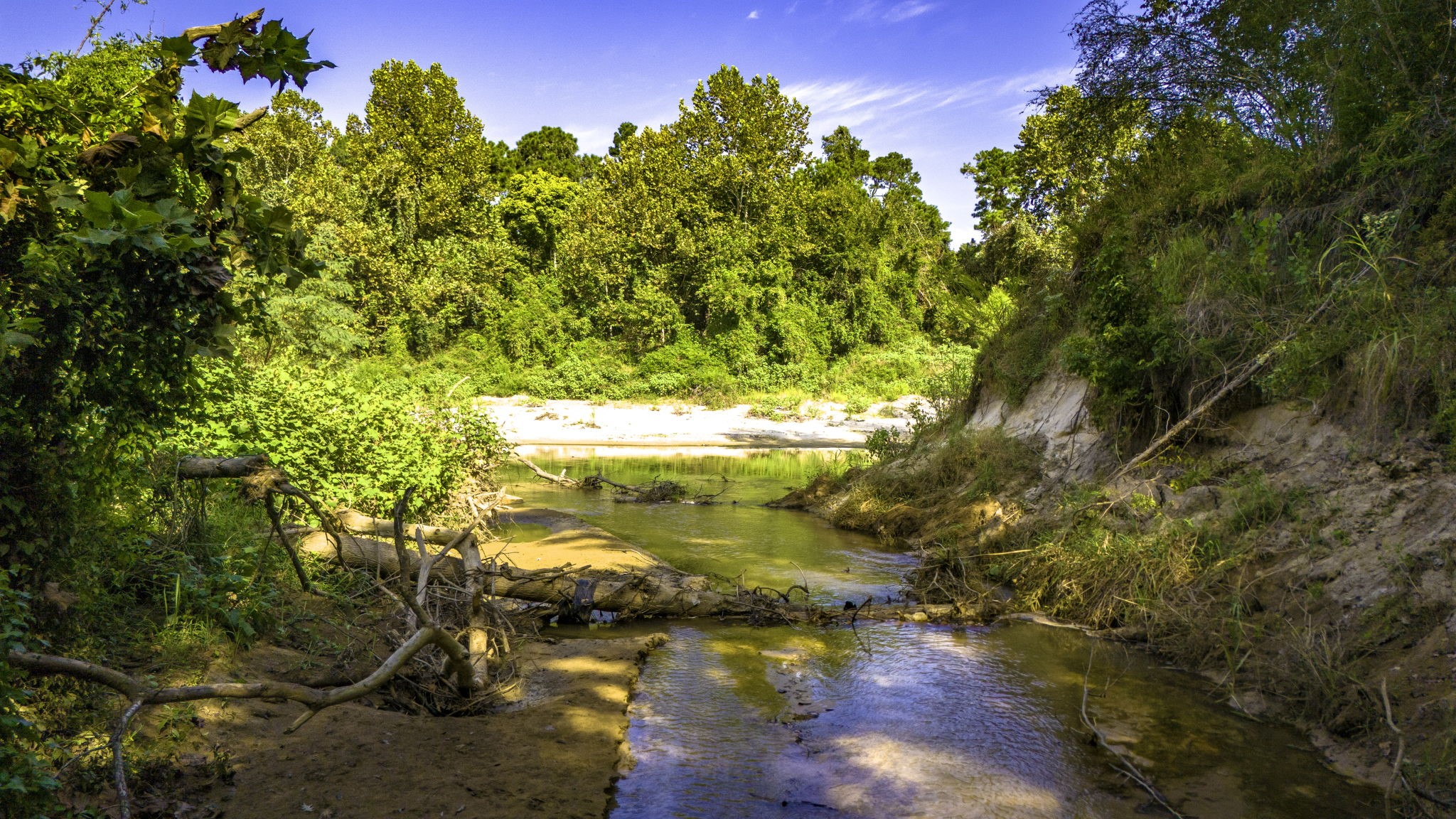0 Garner Road Goodrich, TX 77335 - Photo 2 of 22