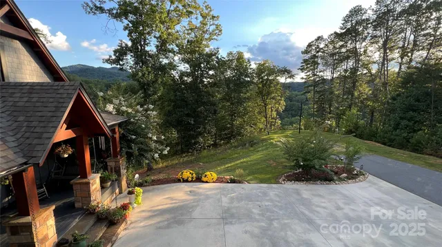 a close up of a plant