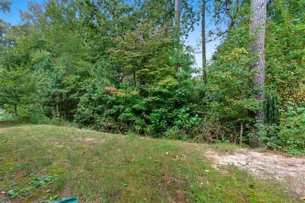 140 Bryon Lane Acworth, GA 30102 - Photo 34 of 39 a view of a yard with a tree