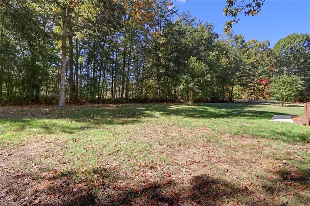 373 County Line Road Reidsville, NC 27320 - Photo 26 of 47 Gallery Image 26