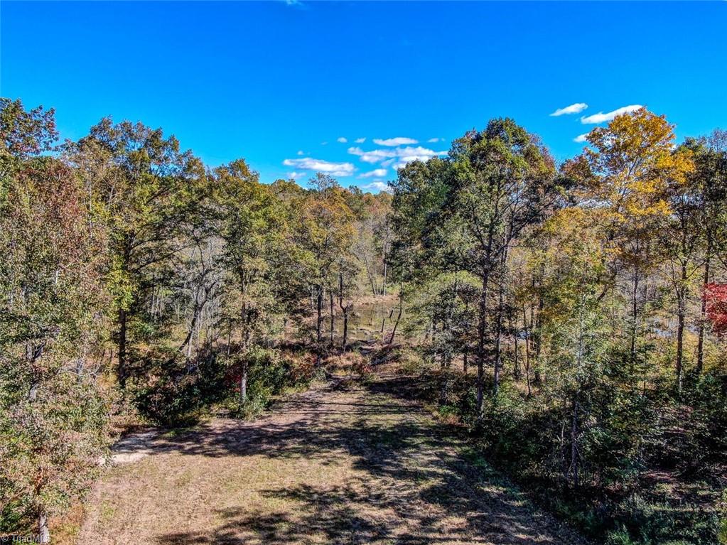 373 County Line Road Reidsville, NC 27320 - Photo 39 of 47 Gallery Image 39
