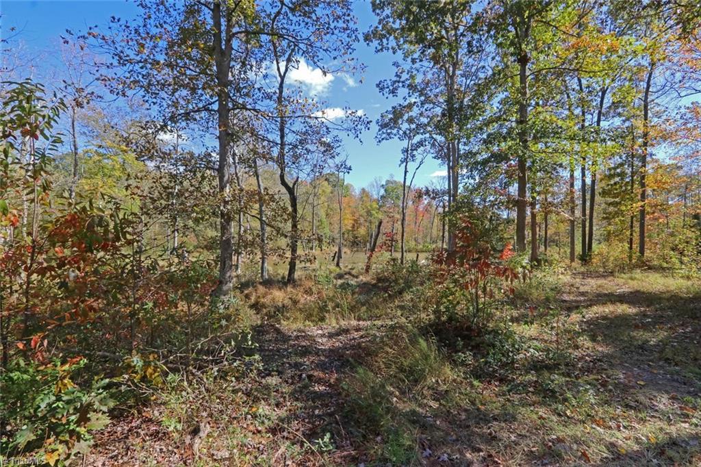 373 County Line Road Reidsville, NC 27320 - Photo 40 of 47 Gallery Image 40
