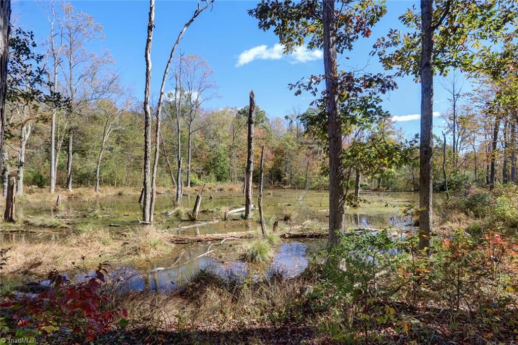 373 County Line Road Reidsville, NC 27320 - Photo 41 of 47 Gallery Image 41