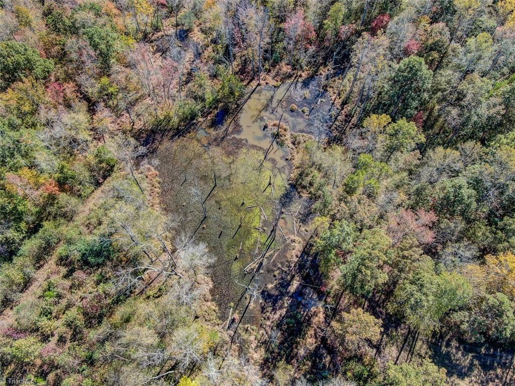 373 County Line Road Reidsville, NC 27320 - Photo 42 of 47 Gallery Image 42
