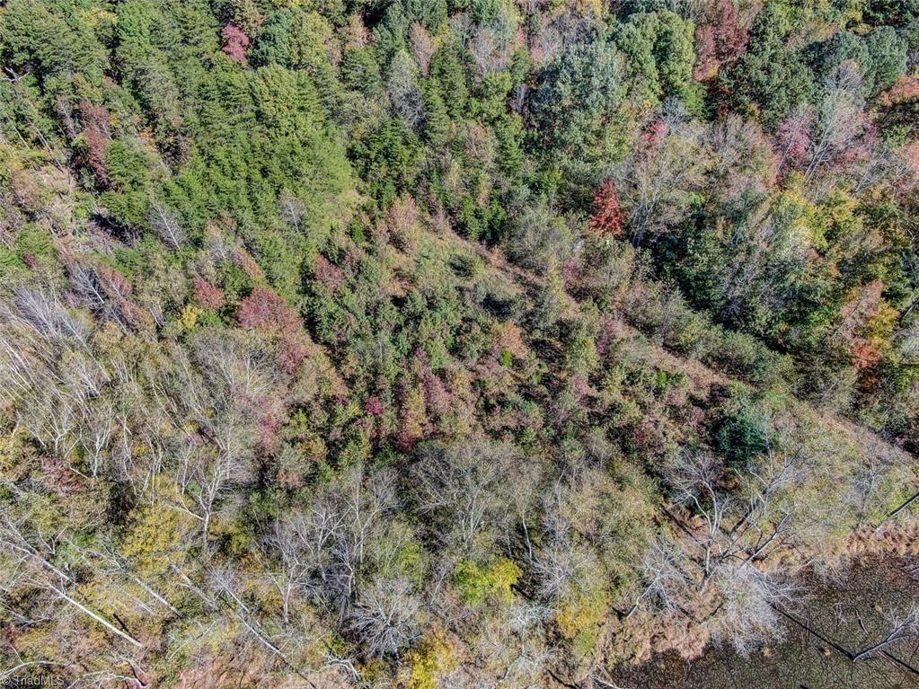 373 County Line Road Reidsville, NC 27320 - Photo 43 of 47 Gallery Image 43