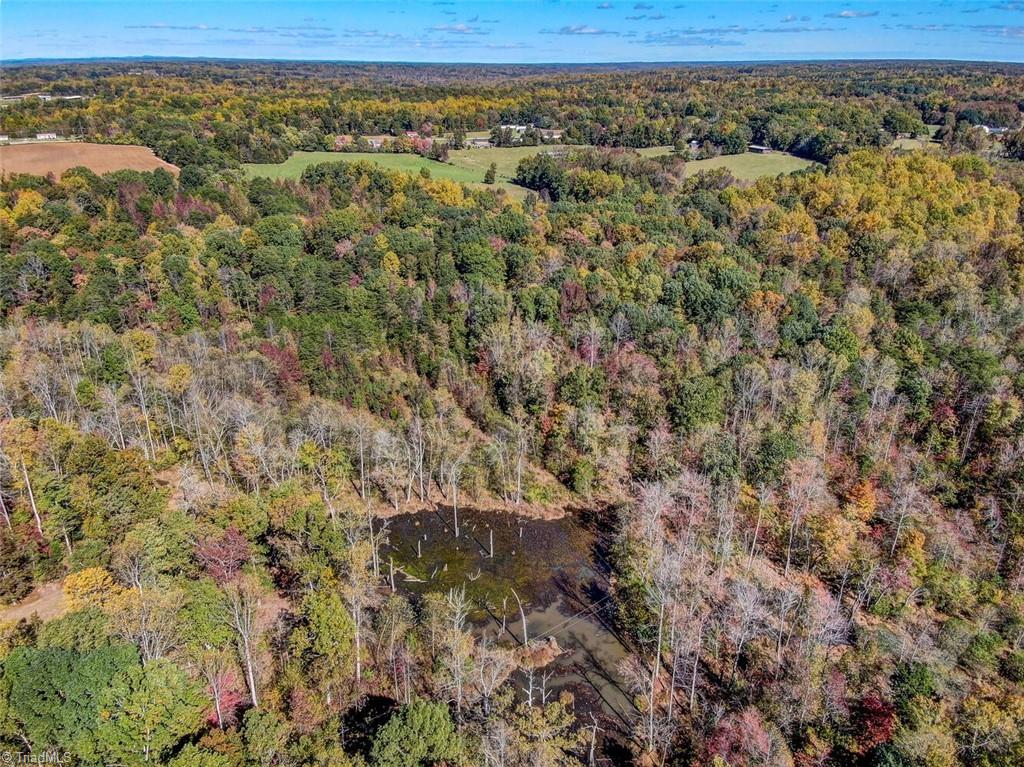373 County Line Road Reidsville, NC 27320 - Photo 44 of 47 Gallery Image 44