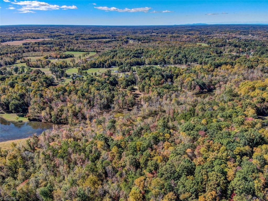 373 County Line Road Reidsville, NC 27320 - Photo 45 of 47 Gallery Image 45