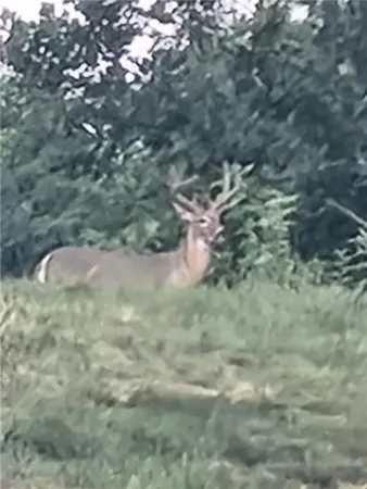 $599,000 | 58.4-ac 58.4-ac Brown Road, Rushville, MO 64484