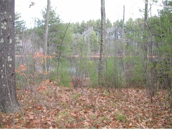 41 Mt Hunger Road Henniker, NH 03242 - Photo 1 of 1
