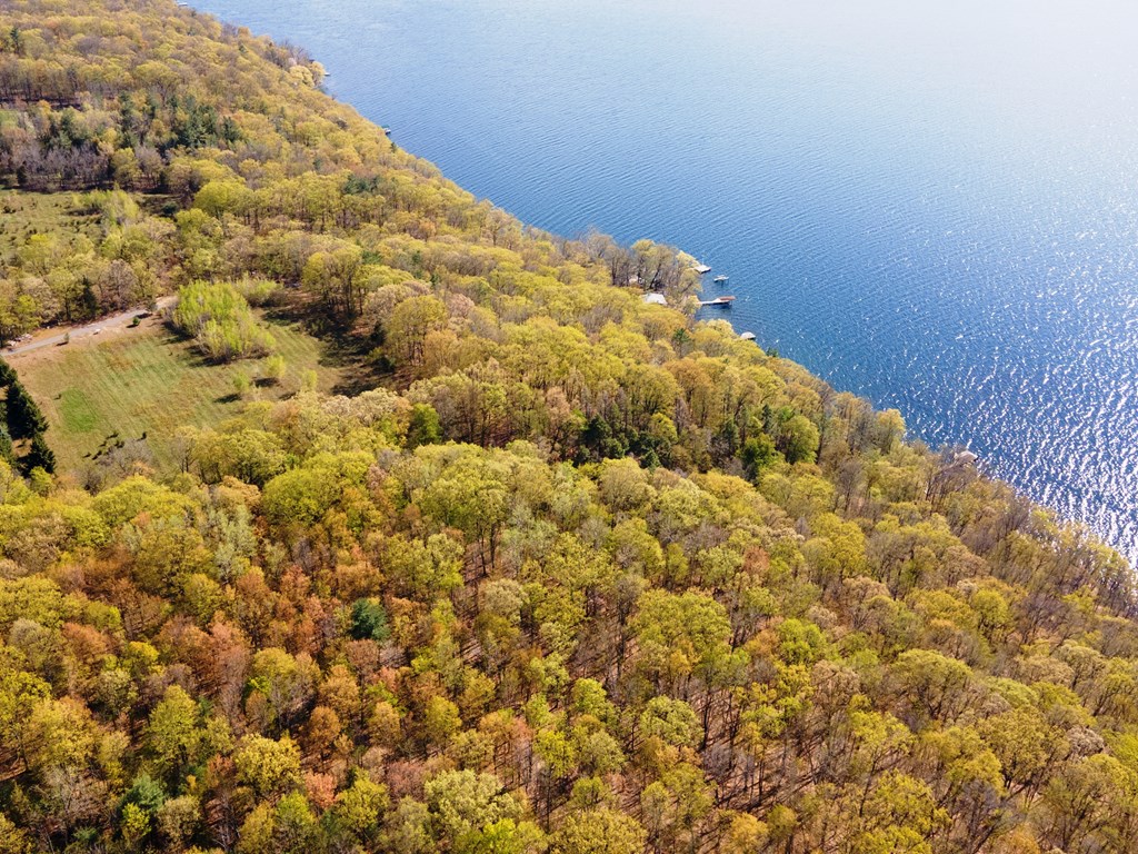 Lot A Lot A Sutphen Road Burdett, NY 14818 - Photo 3 of 4