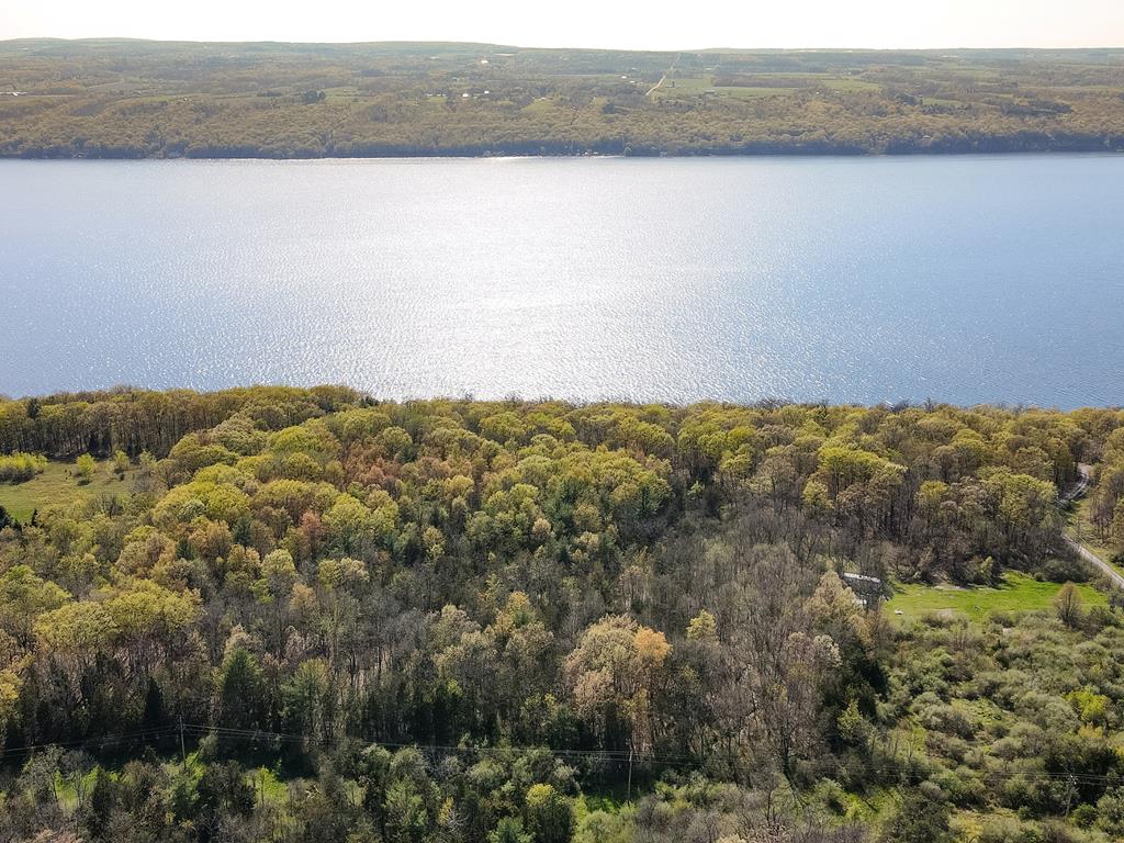 Lot A Lot A Sutphen Road Burdett, NY 14818 - Photo 4 of 4