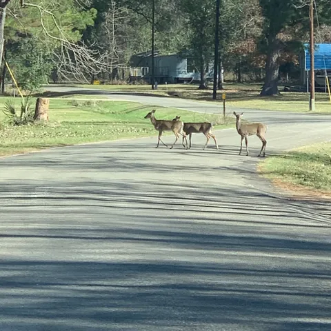 a view of a outdoor space