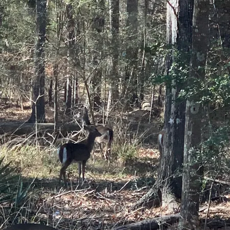$92,500 | 202 Armadillo T, Onalaska, TX 77360