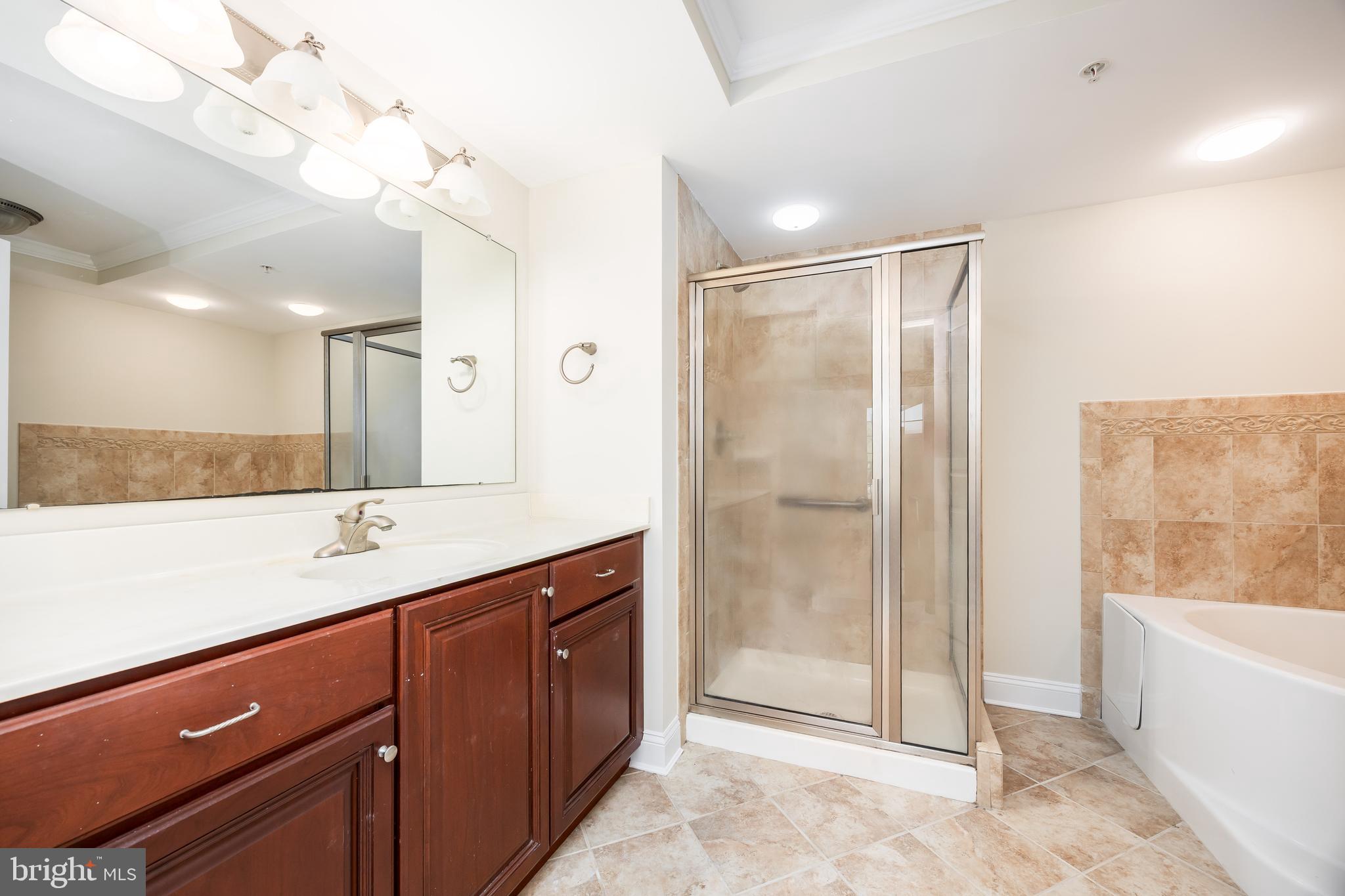 530 Riverside Drive, Unit 202 Salisbury, MD 21801 - Photo 19 of 61 a bathroom with a shower sink and mirror