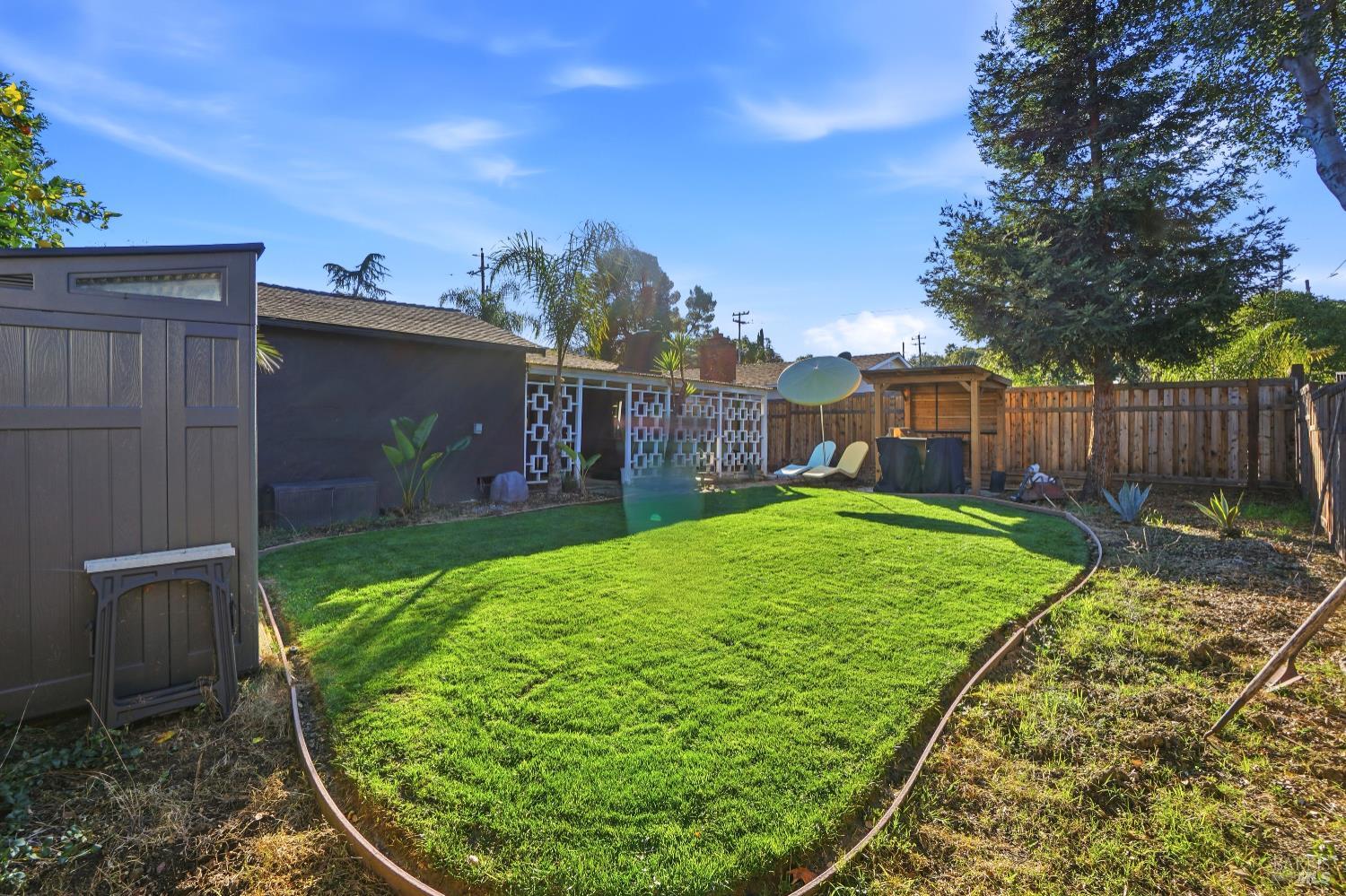 823 Shell Avenue Martinez, CA 94553 - Photo 6 of 39 a view of a backyard with a garden