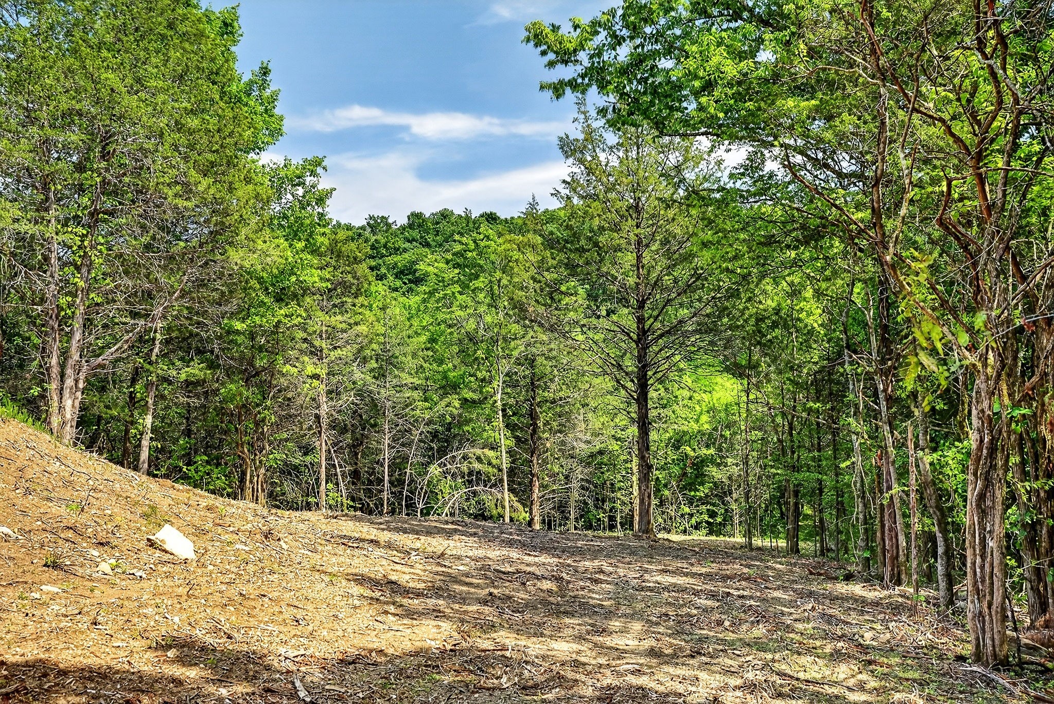 2926 Bryant Ridge Road Baxter, TN 38544 - Photo 30 of 64