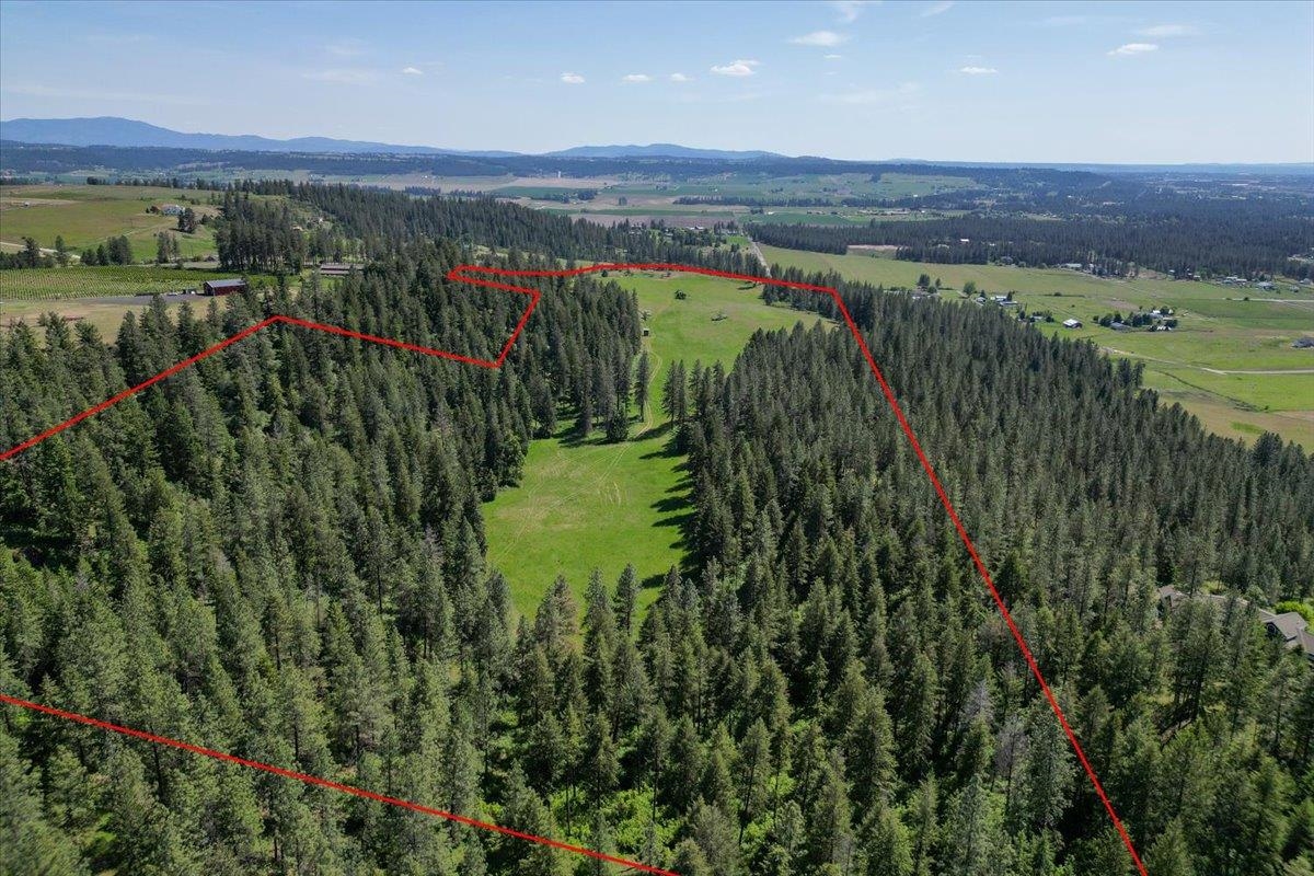 17323 North Lower Greenbluff Road Colbert, WA 99005 - Photo 3 of 47