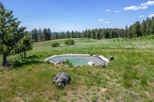 $3,300,000 | 17323 North Lower Greenbluff Road, Colbert, WA 99005