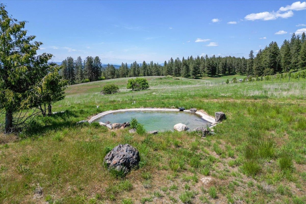 17323 North Lower Greenbluff Road Colbert, WA 99005 - Photo 34 of 47