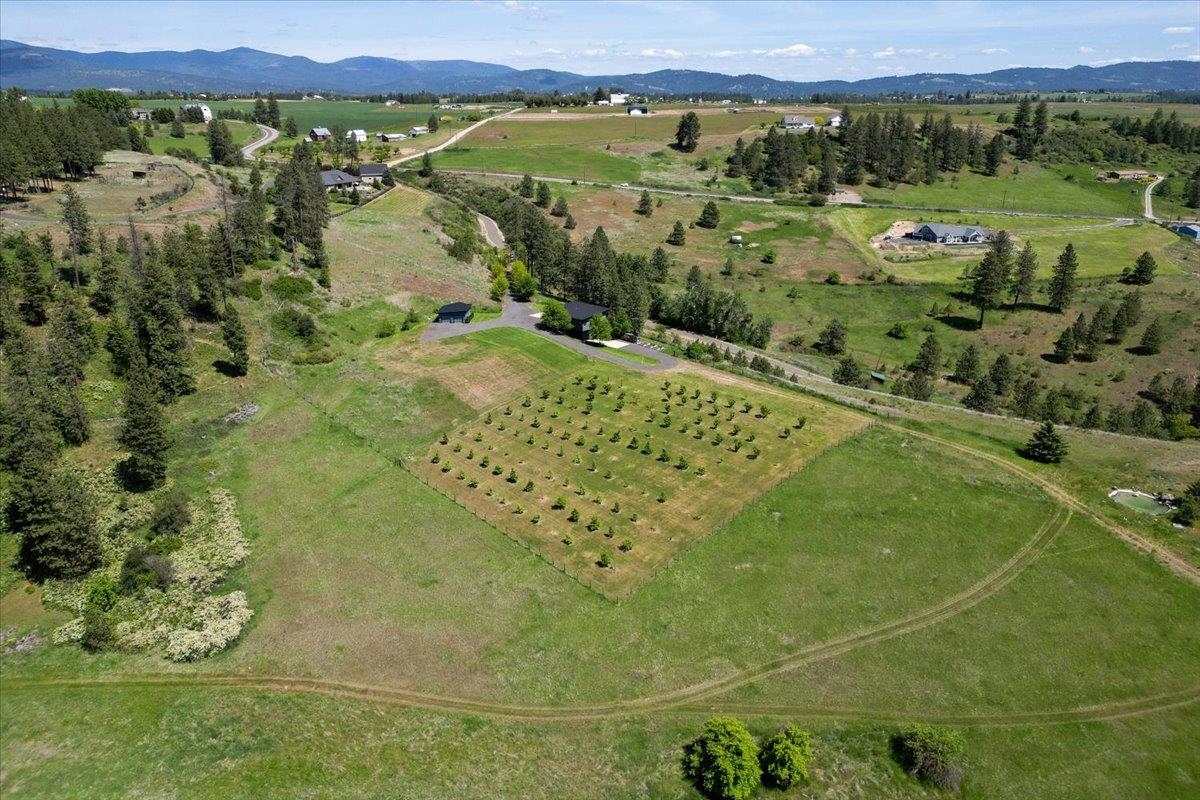 17323 North Lower Greenbluff Road Colbert, WA 99005 - Photo 36 of 47