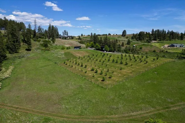 $3,300,000 | 17323 North Lower Greenbluff Road, Colbert, WA 99005
