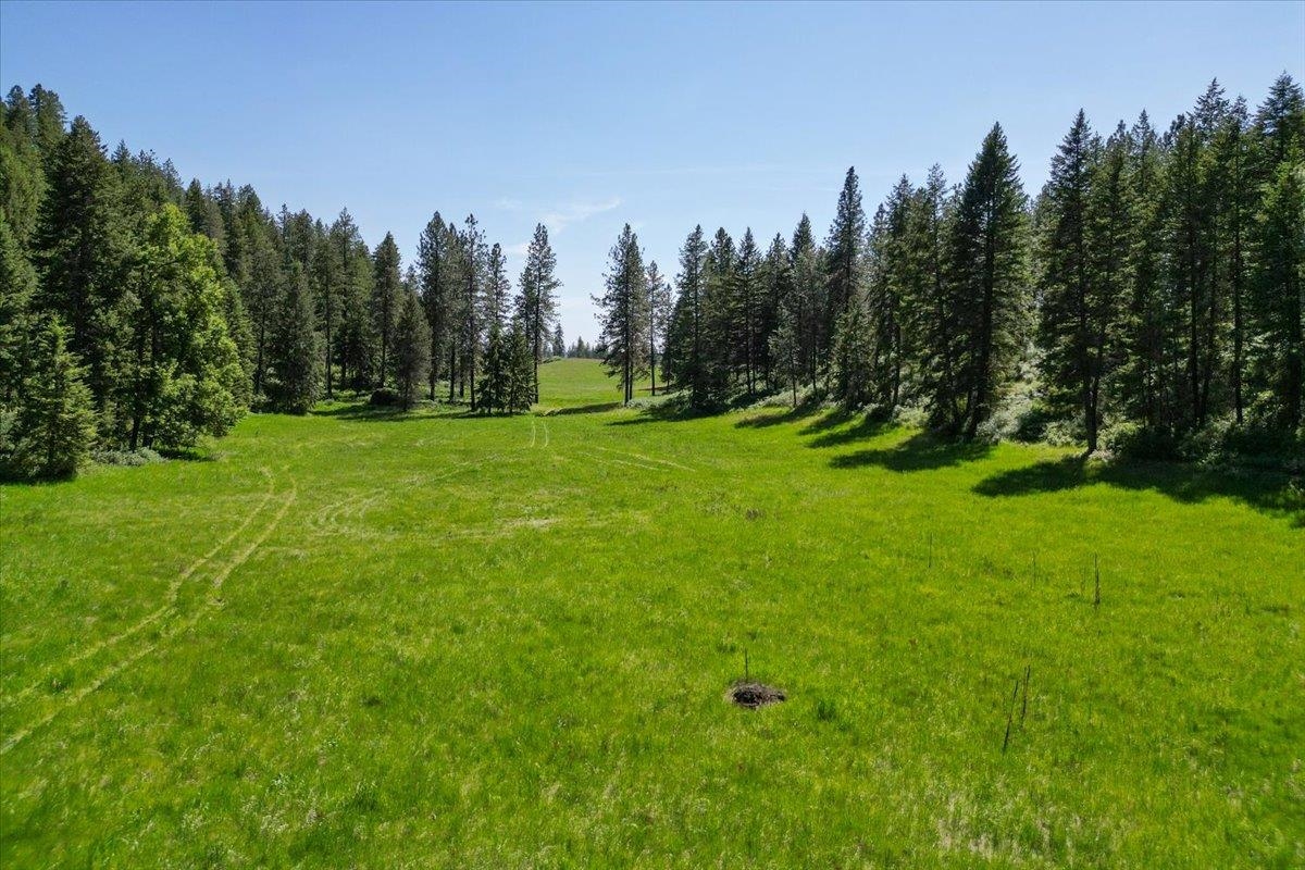 17323 North Lower Greenbluff Road Colbert, WA 99005 - Photo 41 of 47