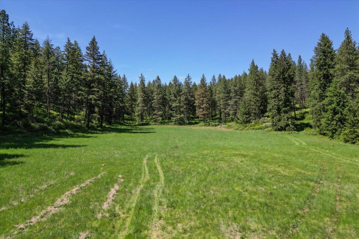 17323 North Lower Greenbluff Road Colbert, WA 99005 - Photo 42 of 47