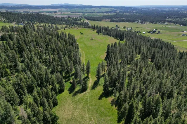 $3,300,000 | 17323 North Lower Greenbluff Road, Colbert, WA 99005