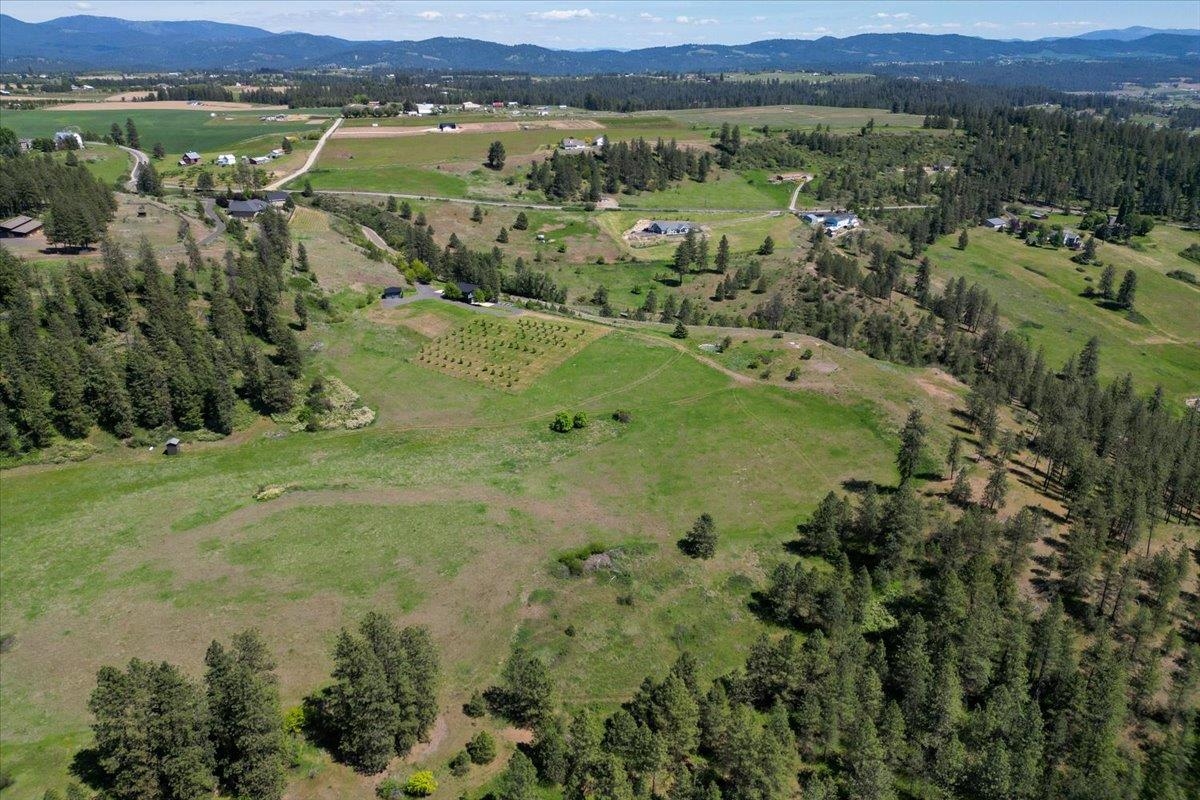 17323 North Lower Greenbluff Road Colbert, WA 99005 - Photo 44 of 47