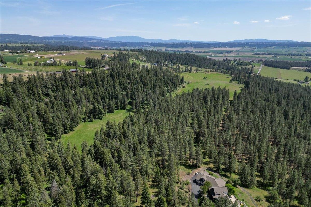 17323 North Lower Greenbluff Road Colbert, WA 99005 - Photo 45 of 47