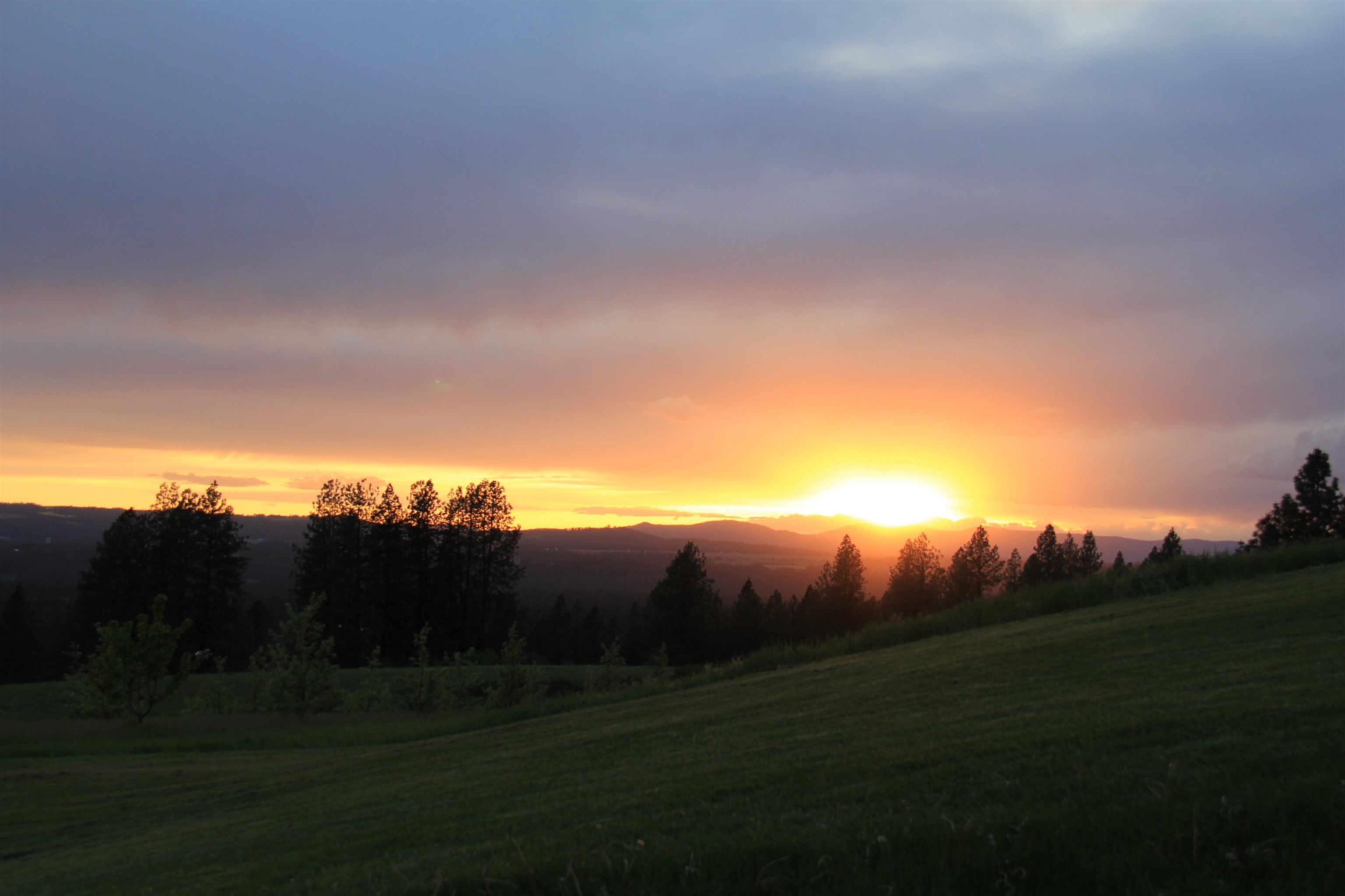 17323 North Lower Greenbluff Road Colbert, WA 99005 - Photo 46 of 47