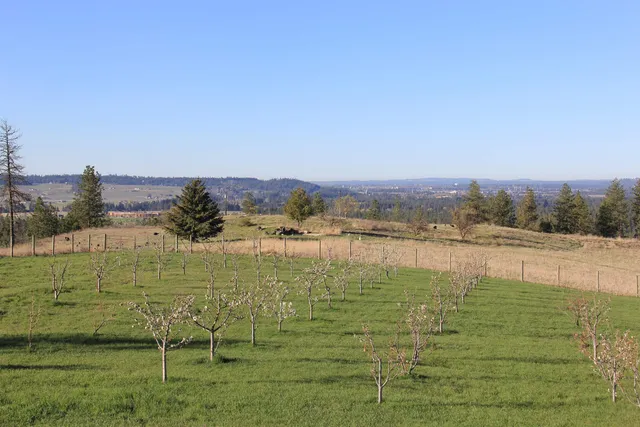 $3,300,000 | 17323 North Lower Greenbluff Road, Colbert, WA 99005