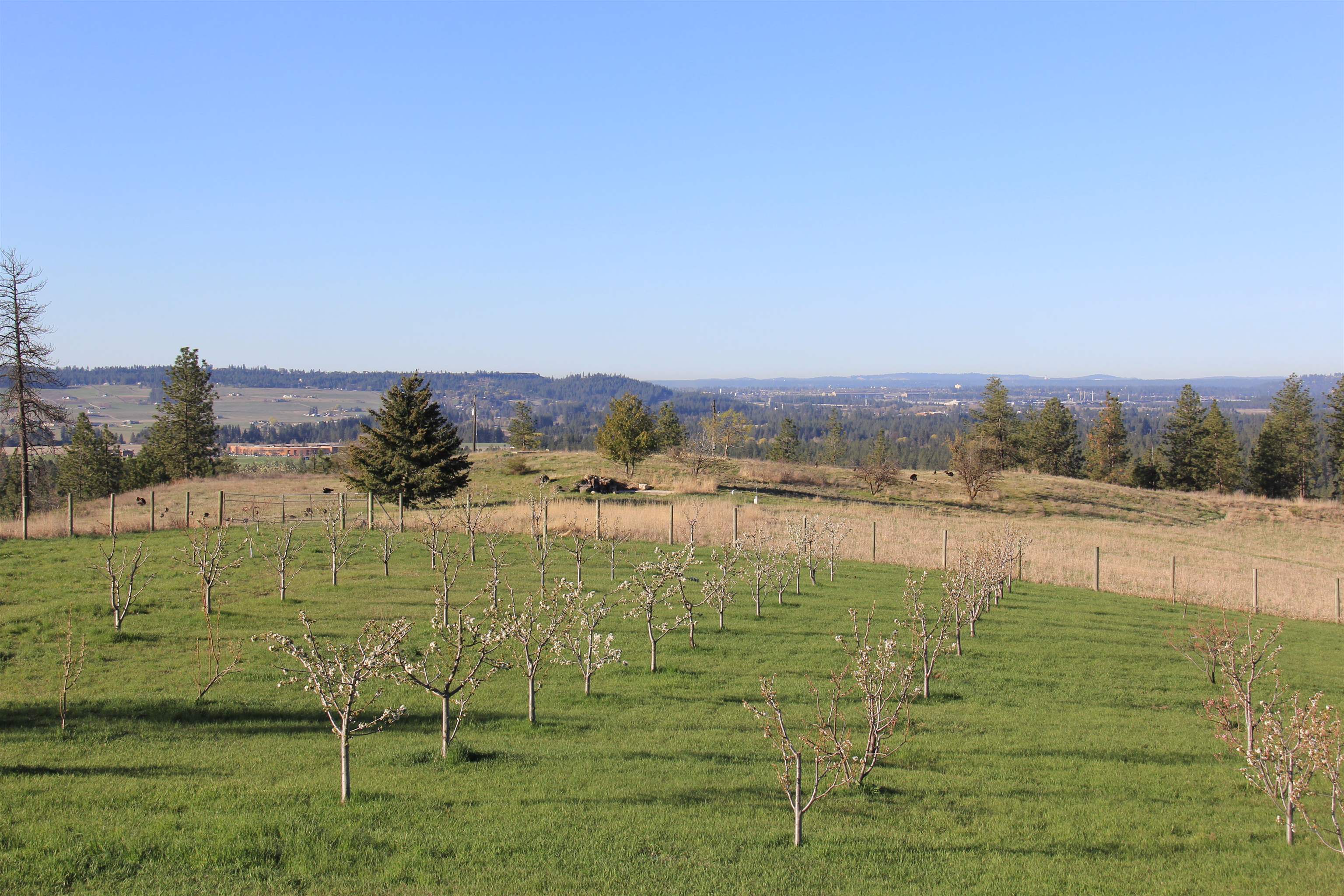 17323 North Lower Greenbluff Road Colbert, WA 99005 - Photo 5 of 47