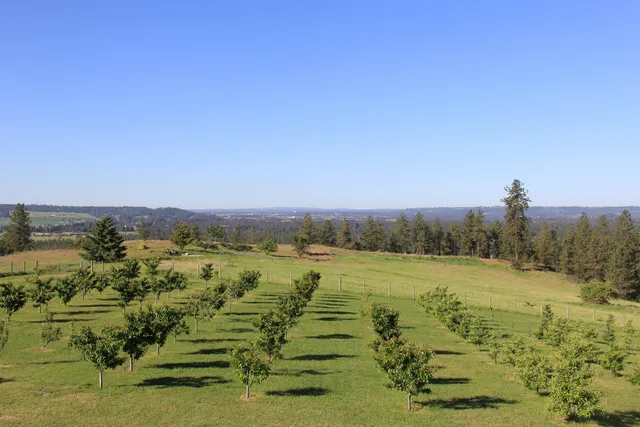 $3,300,000 | 17323 North Lower Greenbluff Road, Colbert, WA 99005