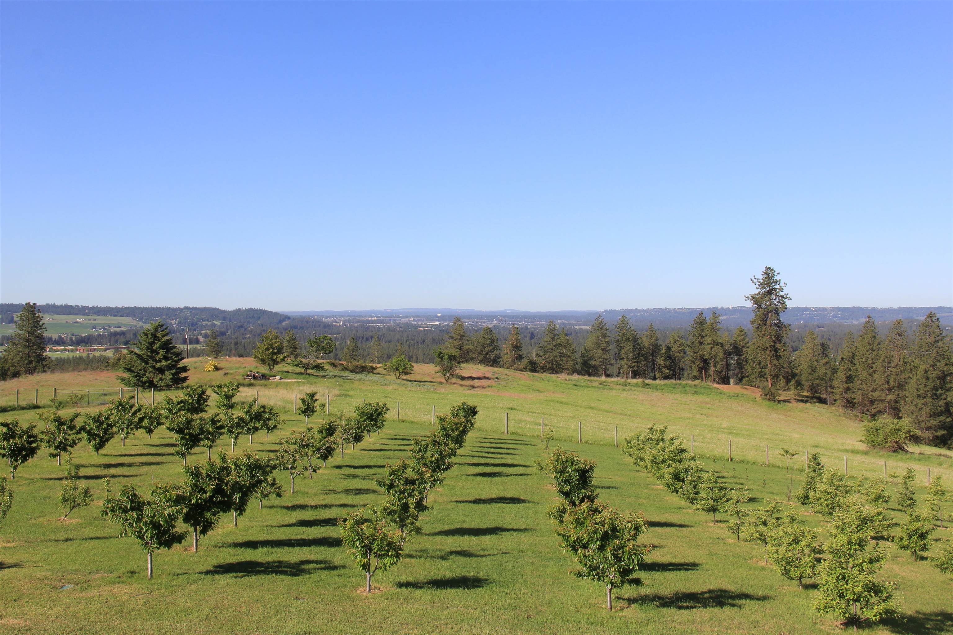 17323 North Lower Greenbluff Road Colbert, WA 99005 - Photo 6 of 47