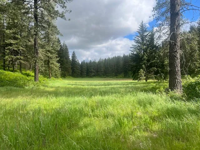 $3,300,000 | 17323 North Lower Greenbluff Road, Colbert, WA 99005