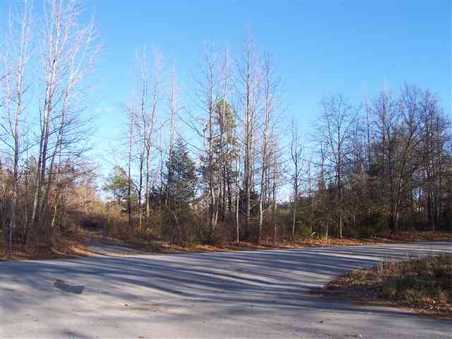 528 Garrett Street Fountain Inn, SC 29644 - Photo 1 of 1 Gallery Image 1