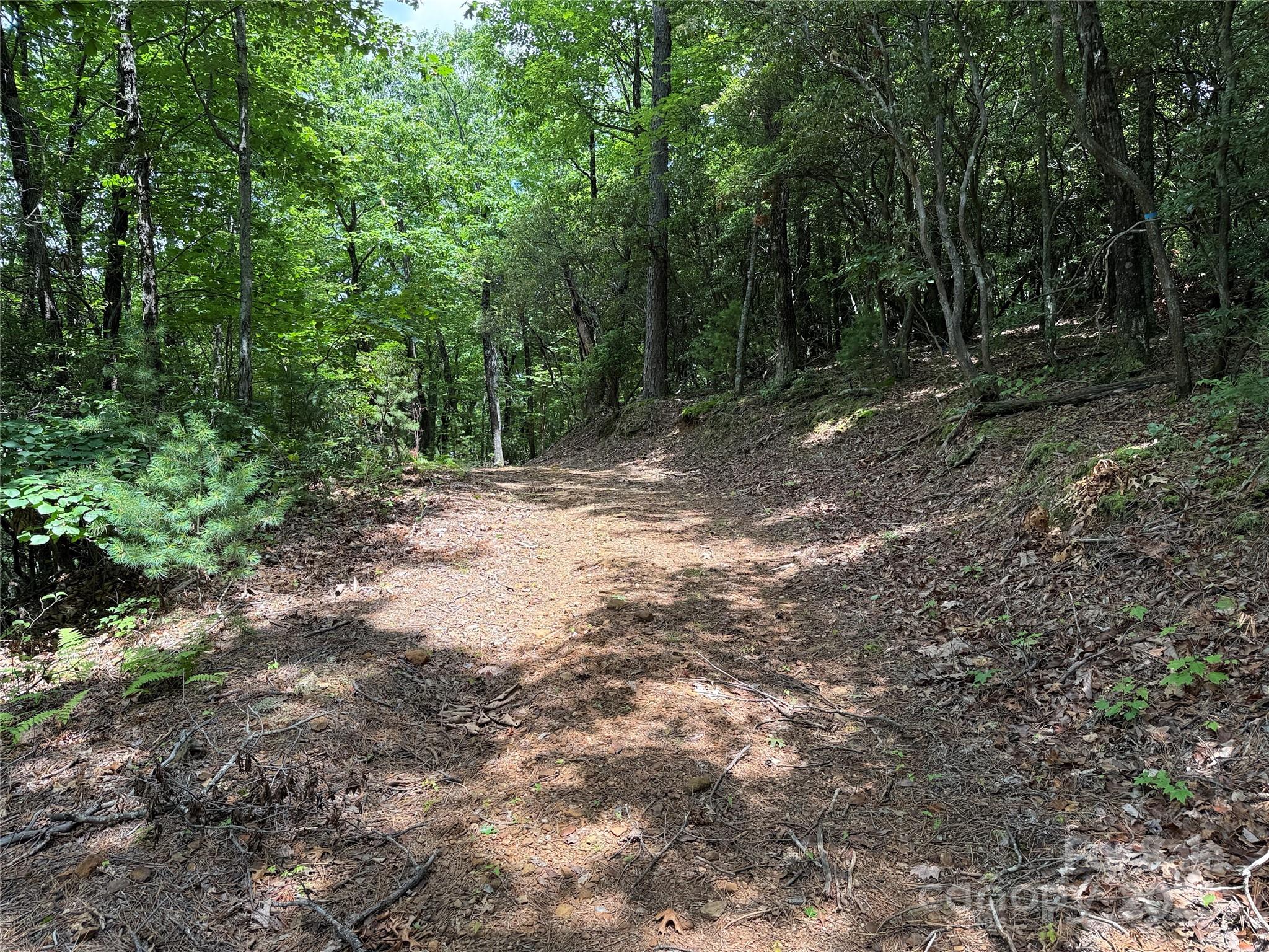 Tbd Casey Mountain Road, Unit 215 Purlear, NC 28665 - Photo 12 of 45 Gallery Image 12