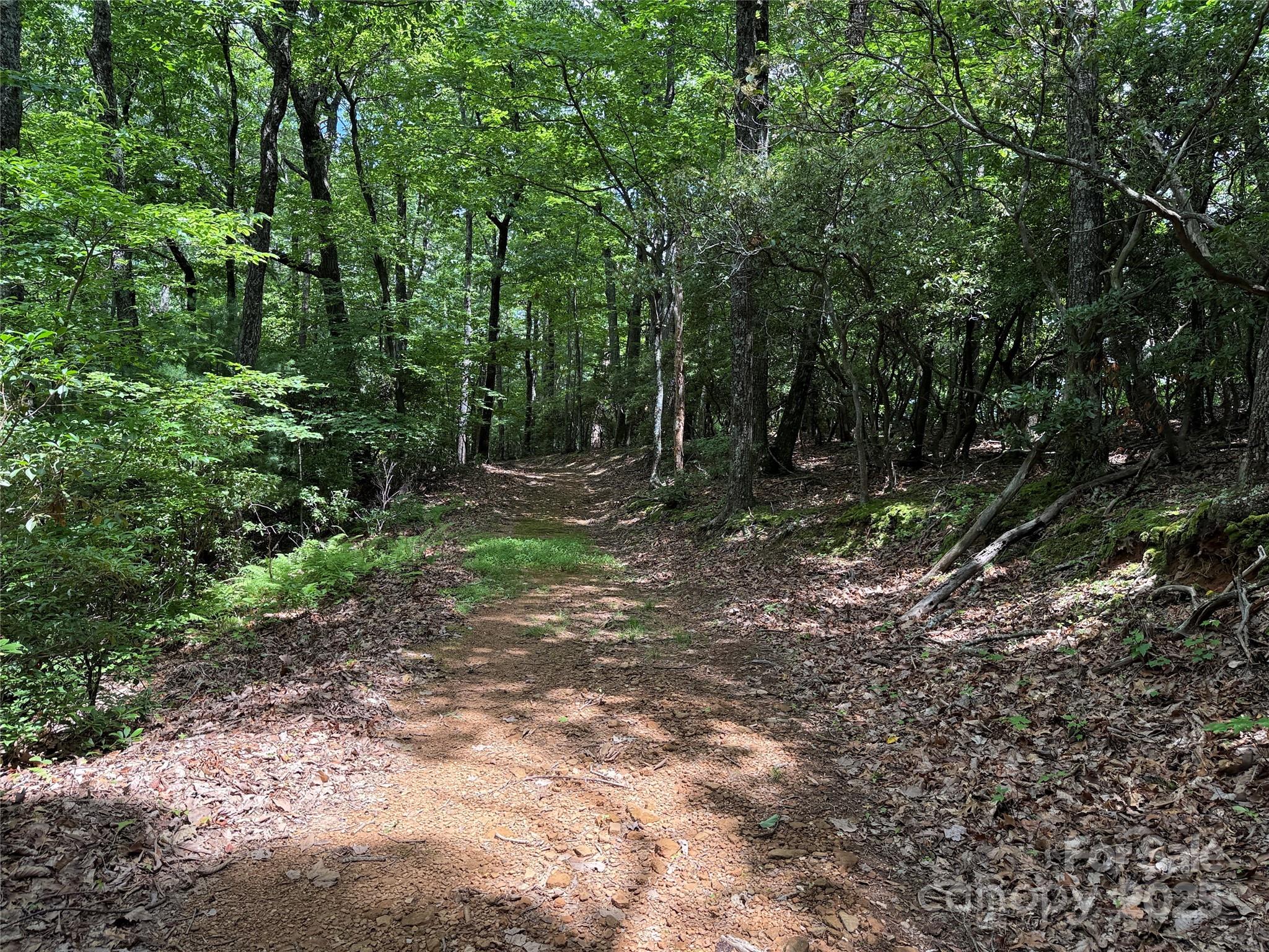 Tbd Casey Mountain Road, Unit 215 Purlear, NC 28665 - Photo 13 of 45 Gallery Image 13