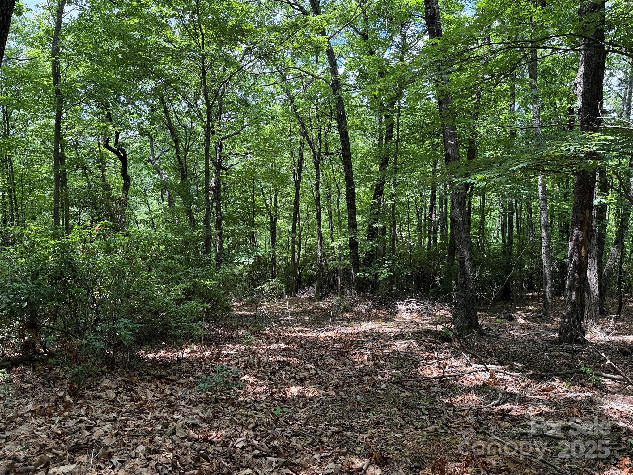Tbd Casey Mountain Road, Unit 215 Purlear, NC 28665 - Photo 14 of 45 Gallery Image 14